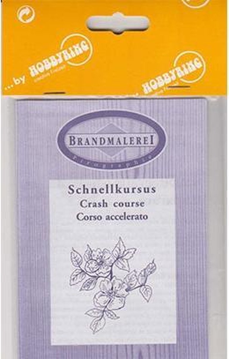 Hobbyring | Snelcursus brandschilderen | meer gevorderd